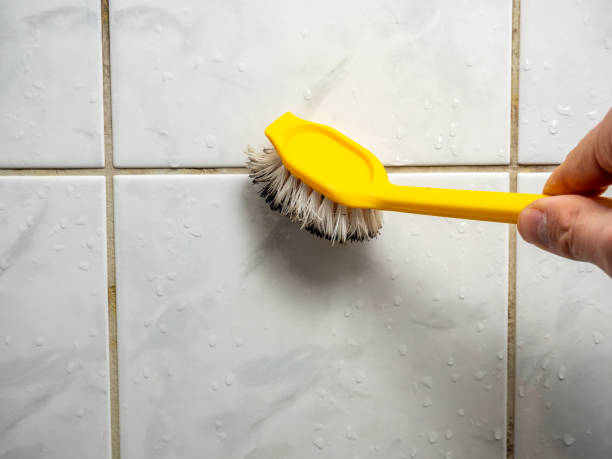 Best Commercial Mold Removal  in Fisher, IL