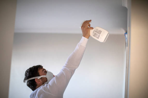 Best Same-Day Mold Removal  in Fisher, IL