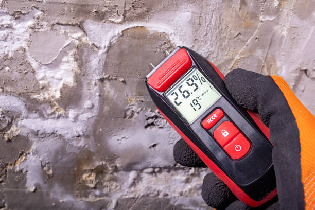Best Mold Remediation  in Fisher, IL