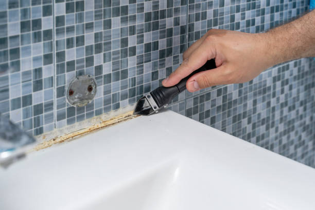 Best Mold Removal Company Near Me  in Fisher, IL