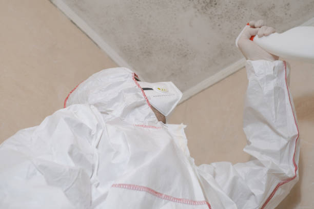 Best Fast Mold Removal  in Fisher, IL