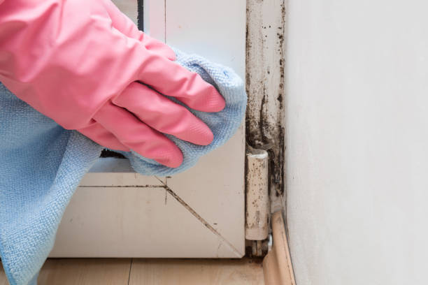 Best Mold Testing  in Fisher, IL